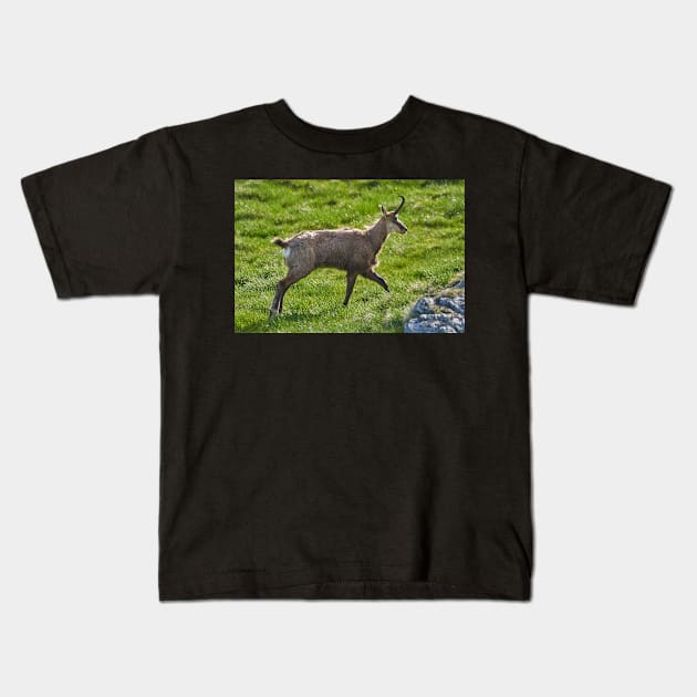 A male mountain goat in the early summer on a pasture Kids T-Shirt by naturalis